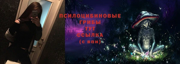 дурь Аркадак