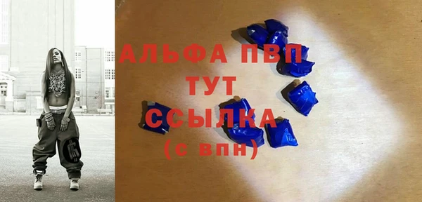 прущие грибы Арсеньев