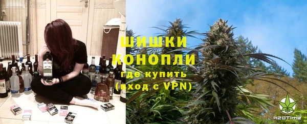 прущие грибы Арсеньев