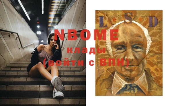 прущие грибы Арсеньев