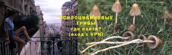 прущие грибы Арсеньев