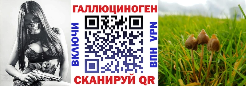 нарко площадка состав  Горняк  Галлюциногенные грибы Cubensis 